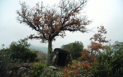 Dolmens catalans, Pyrénées orientales