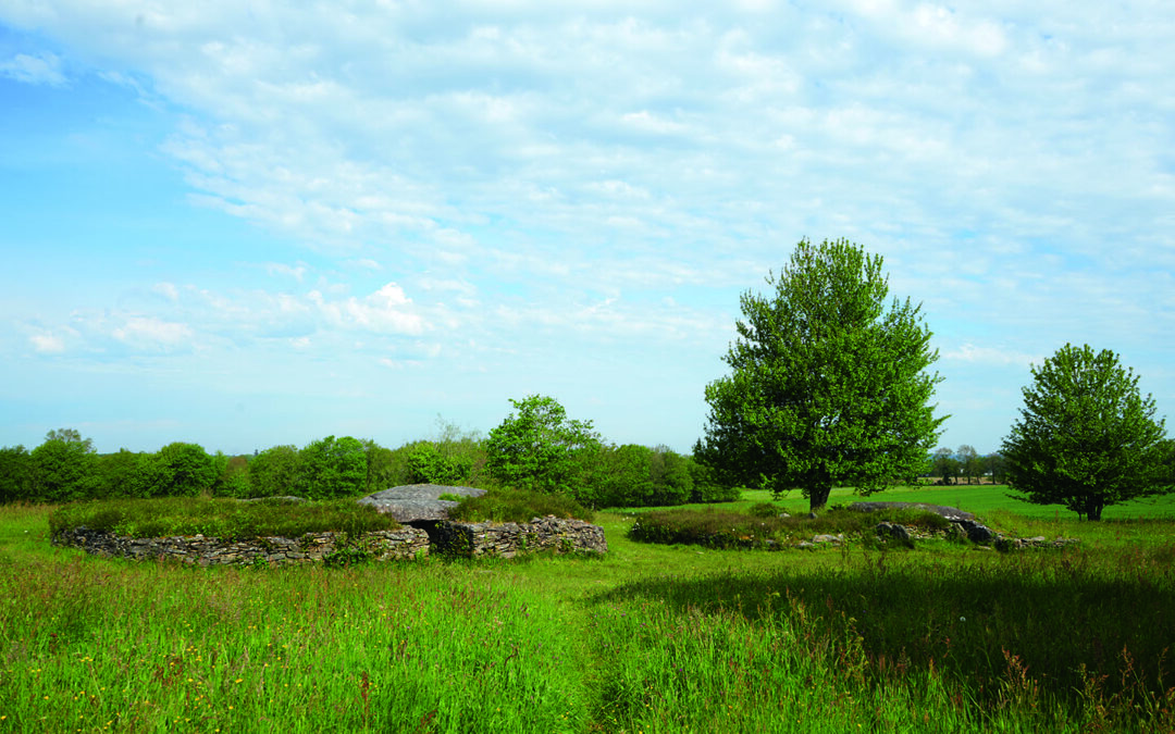 Dolmens de Larcuste, Morbihan