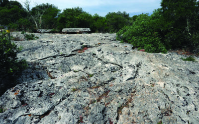 Les pierres en mouvements des Causses