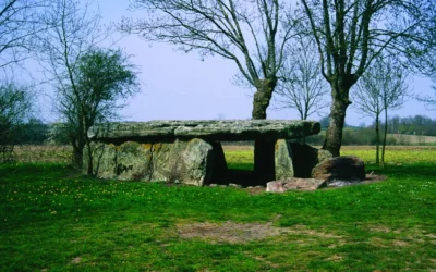 Angevins