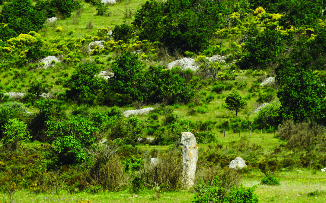 Cromlech de 90 m de Peyrarines et ses menhirs, Blandas (Gard)