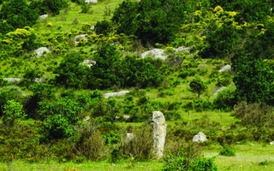 Cromlechs des Causses