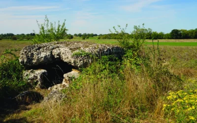 Pierres Closes, Charente-Maritime